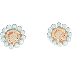 Spinning Jewelry Pretty Earrings