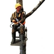COP Rifle/Hunter Dan Action