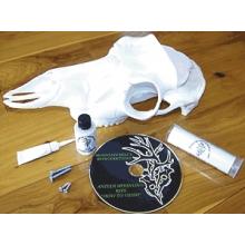 MMR Bone CollectorRecordKeeper
