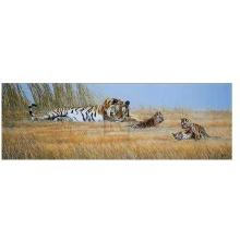 Spencer Hodge - Time To Play Size 36x12 Poster Print