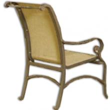 Shade Trends Briaircliff Dining Chair - Etrus Can Bronze