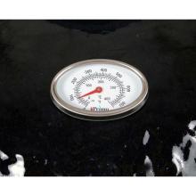Temperature Gauge