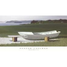 Oyster Catcher Poster Print