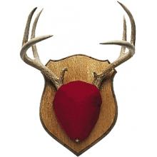 GorGear Oak Antler Kit
