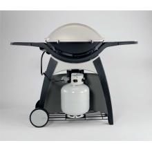 Rear View With Propane Tank Storage