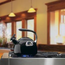 Cuisinart PTK330BK 3-Quart PerfecTemp Tea Kettle - Black 