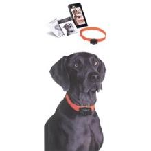 SportDog SBC-6 Bark Control Training Collar