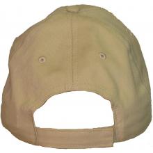 Back of Hat