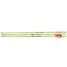 Esc Brave Arrows