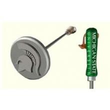 Sports Brand Deluxe Michigan State BBQ College Branding Iron