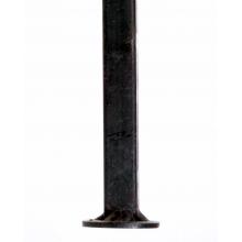 Leg