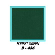 Eagle One Recycled Plastic Adirondack Chair Cushion - Forest Green