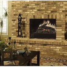 Dimplex DFI2309 23-Inch Standard Electric Fireplace Insert