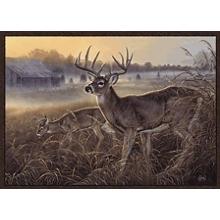 AW Boy S Club Rug 37x52
