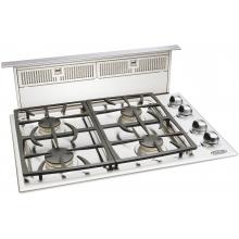 DCS 30-Inch Drop-in Cooktop By Fisher Paykel - CTD-304