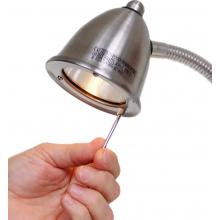 Lamp Detail