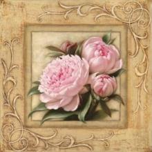 Pretty In Pink Peonies Poster Print