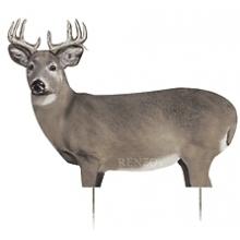 Renzo Edge Whitetail BuckDecoy