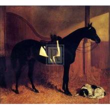 Askar And Roger In A Loose Box Poster Print