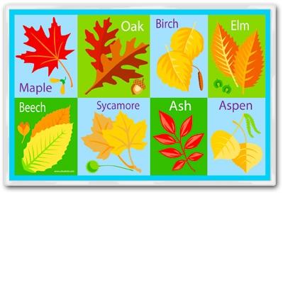 Olive Kids Laminate Placemat - Fall