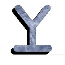 Texas Irons Y Branding Iron