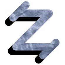 Texas Irons Z Branding Iron