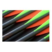 Beman Carbon Thunderbolt 22