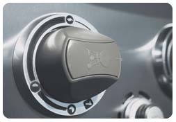 Weber Genesis Knobs