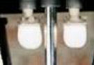 Legendary Lighting Maple Leaf Flame - Vestal Flame