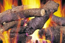 Gas Logs
