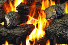 Gas Logs