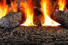 Gas Logs