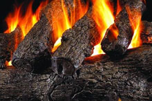 Gas Logs