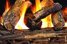 Gas Logs