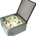 Ice Bins & Coolers