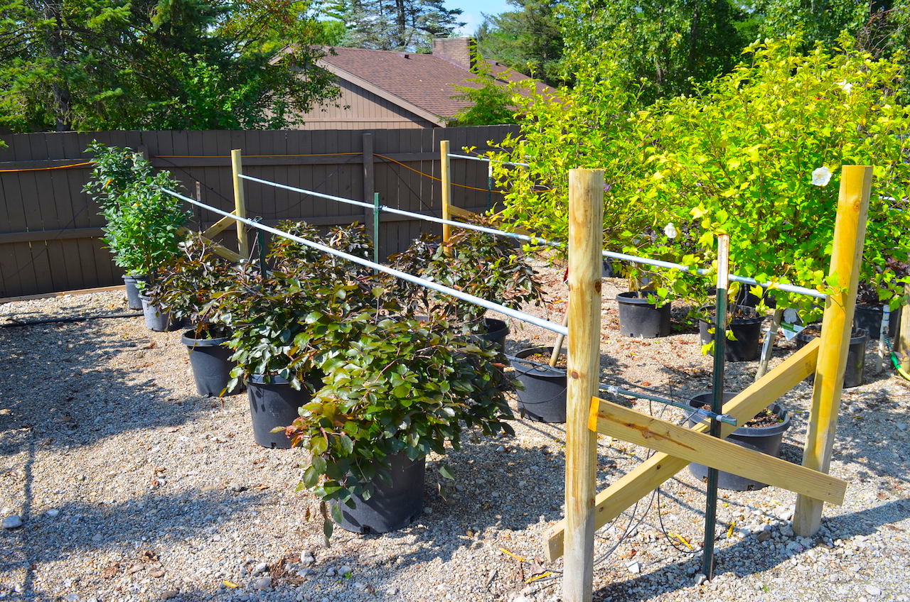 Plant Center Annual Nursery Auction Scheerer McCulloch