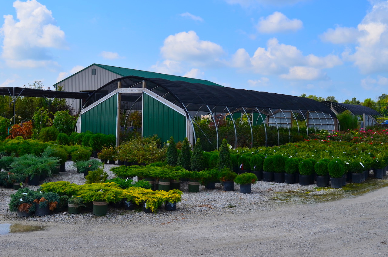 Plant Center Annual Nursery Auction Scheerer McCulloch Indiana