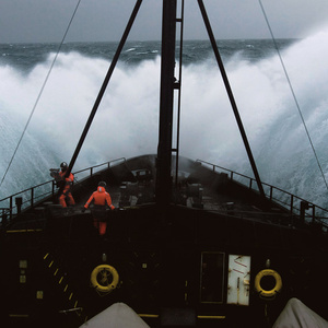 Scissors - Whale Wars | PDN Photo of the Day