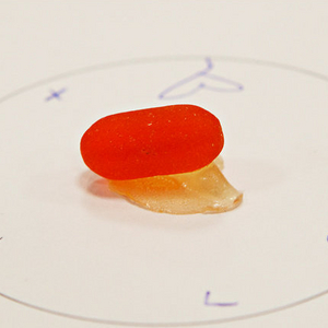 Science > Image >