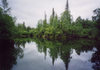 Rivier_thumbnail