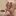Cloning_mistakes_tinier