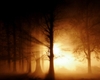 00663_ghostfog_1280x1024_thumbnail