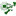 Sc-icon-green_tinier