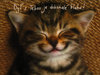 Laughing_cat_thumbnail