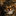 Laughing_cat_tinier