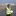 Image303_tinier