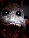 181_thumbnail