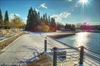 A light snowfall at Coulon Park on a cold, sunny day