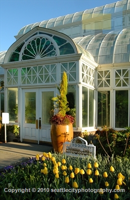 Click to view 'Volunteer Park Conservatory'