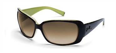 Smith Optics Shoreline Sunglasses - Apple Tortoise / Brown Gradient